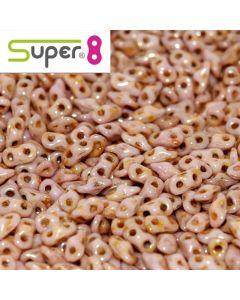 Super8® Alabaster Roman Rose