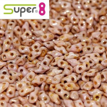 Super8® Alabaster Roman Rose